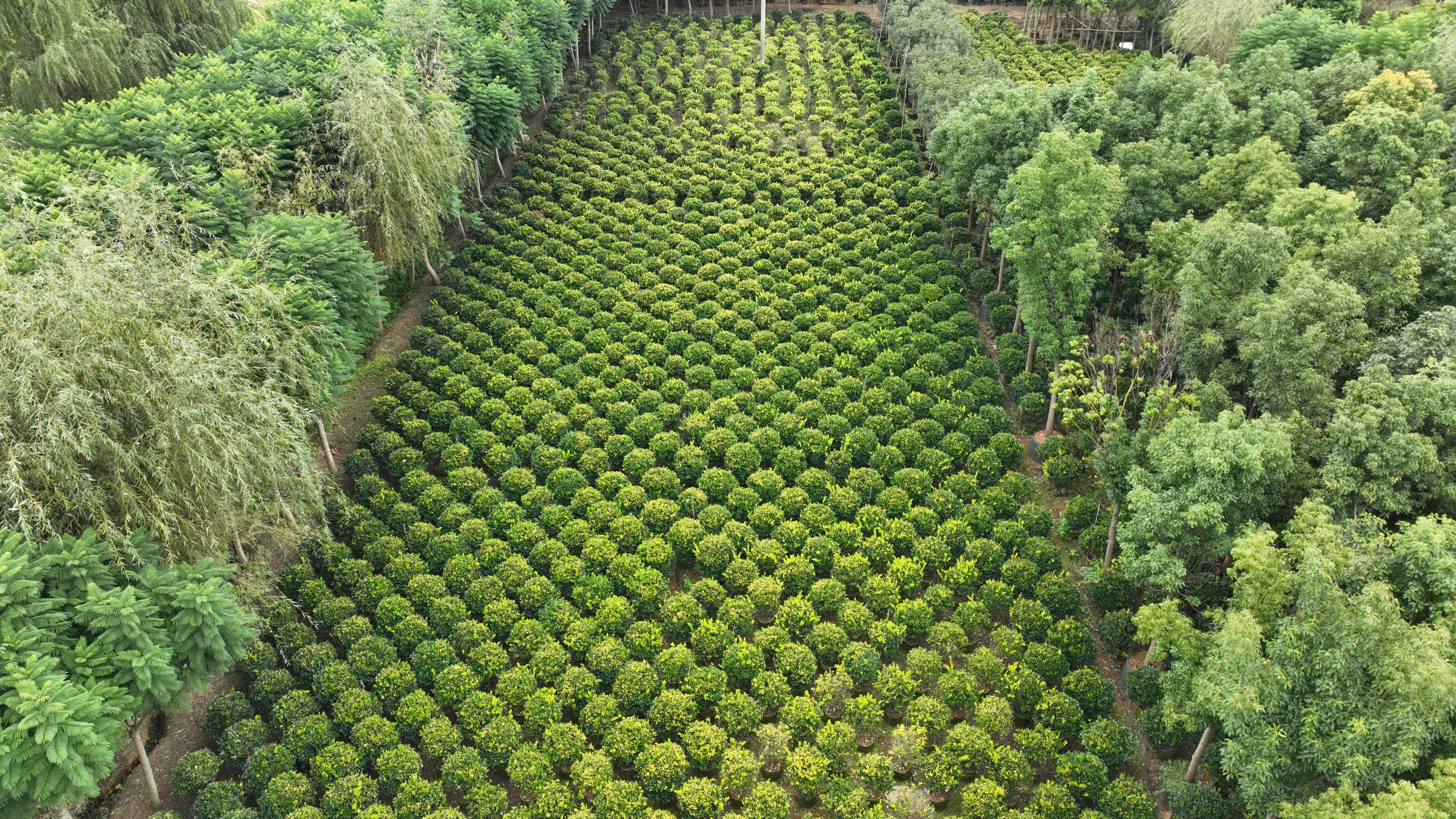 1697192871612834.jpg 1697192871612834.jpg