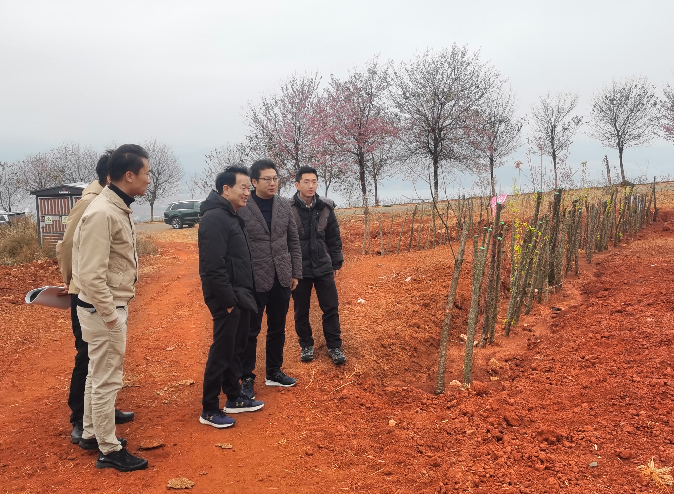 1703502564452145.jpg 1703502564452145.jpg