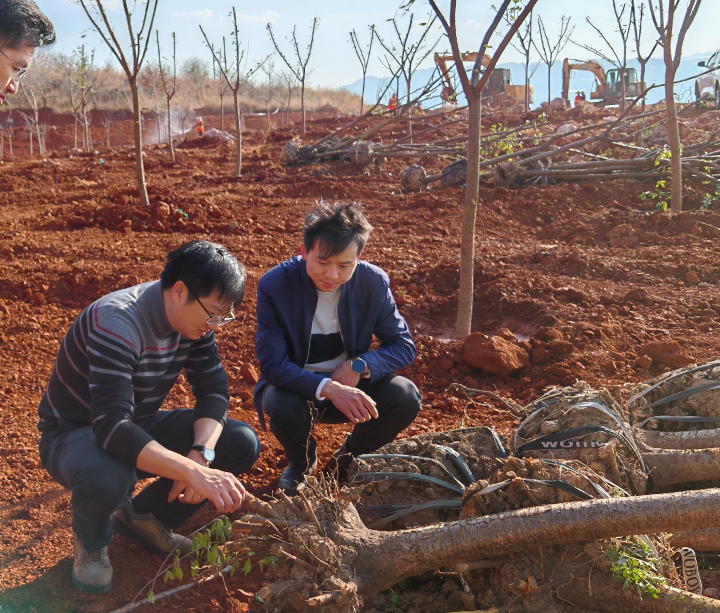 1708562849556836.jpg 1708562849556836.jpg