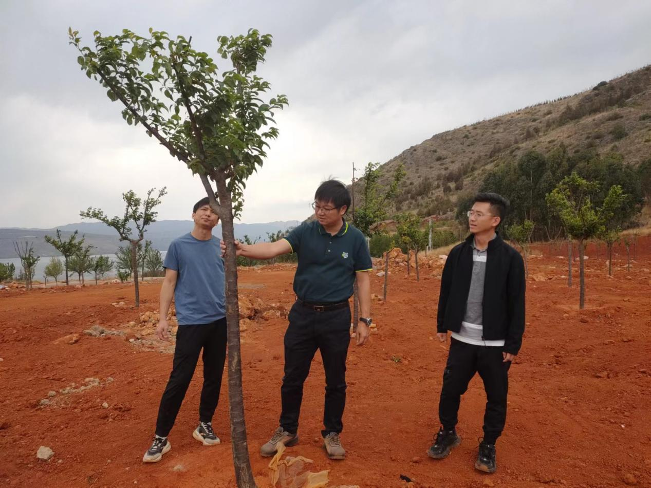 1714833516493733.png 1714833516493733.png