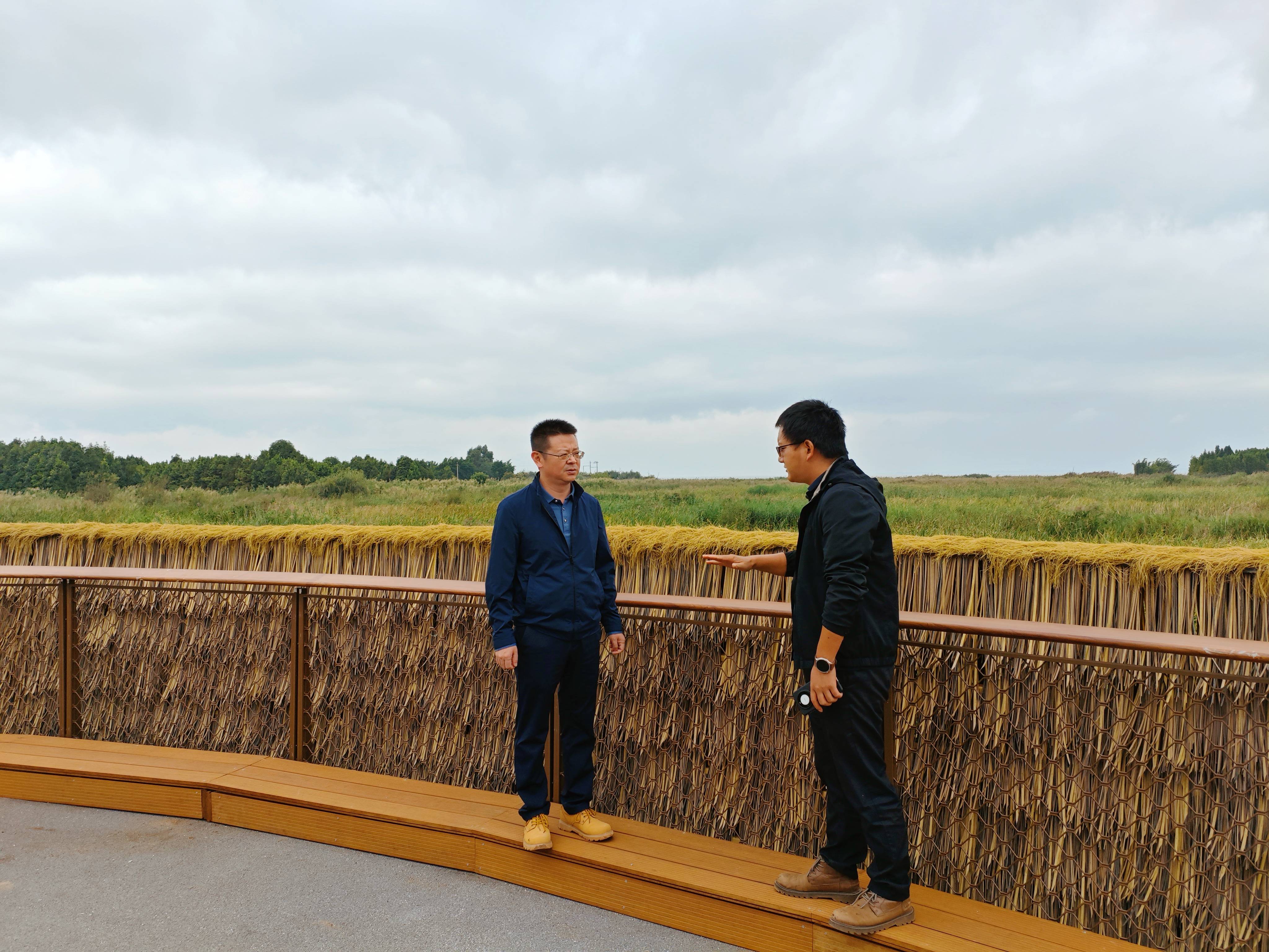 1728195259311164.jpg 1728195259311164.jpg