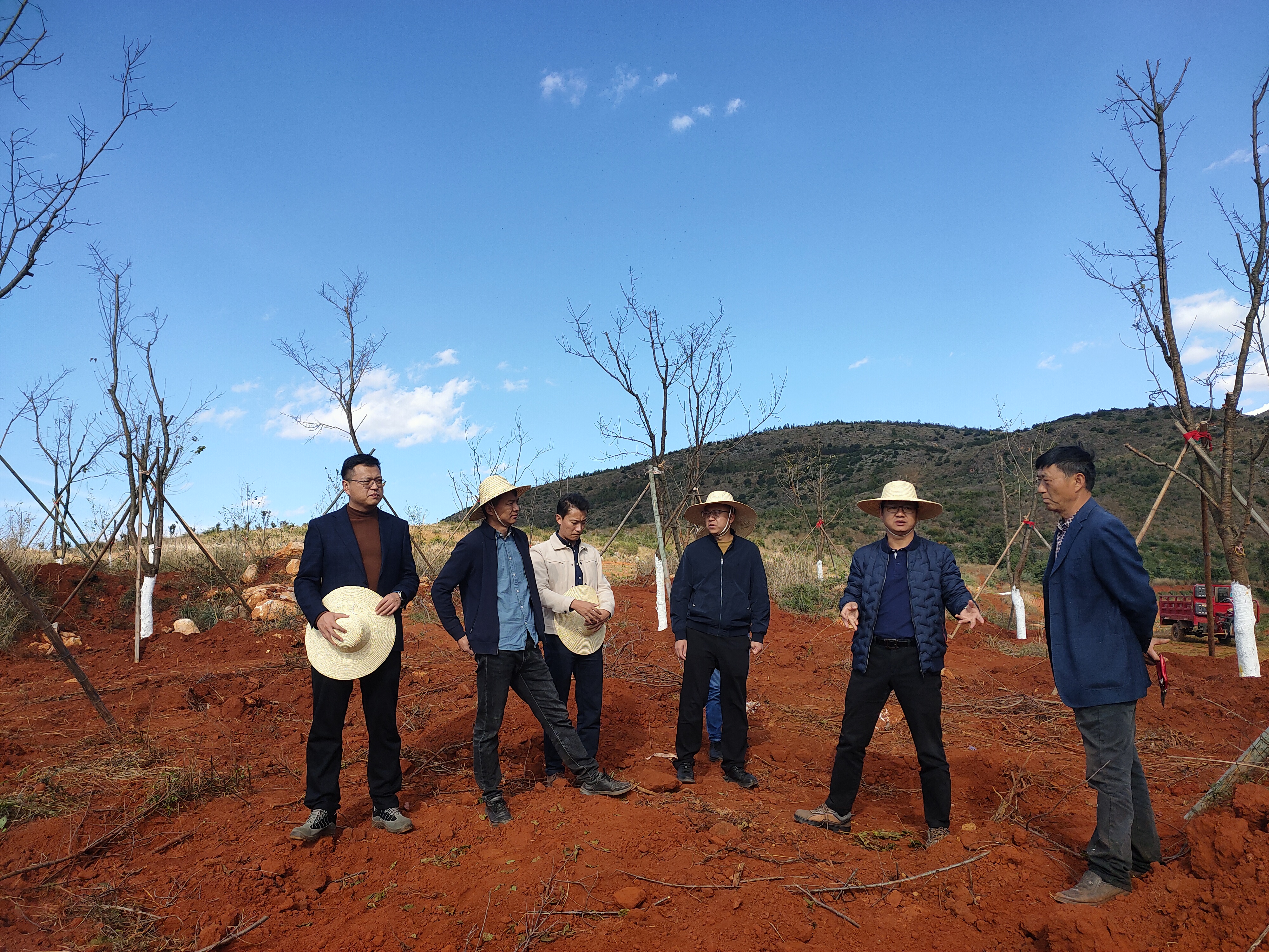 1732755420848612.jpg 1732755420848612.jpg