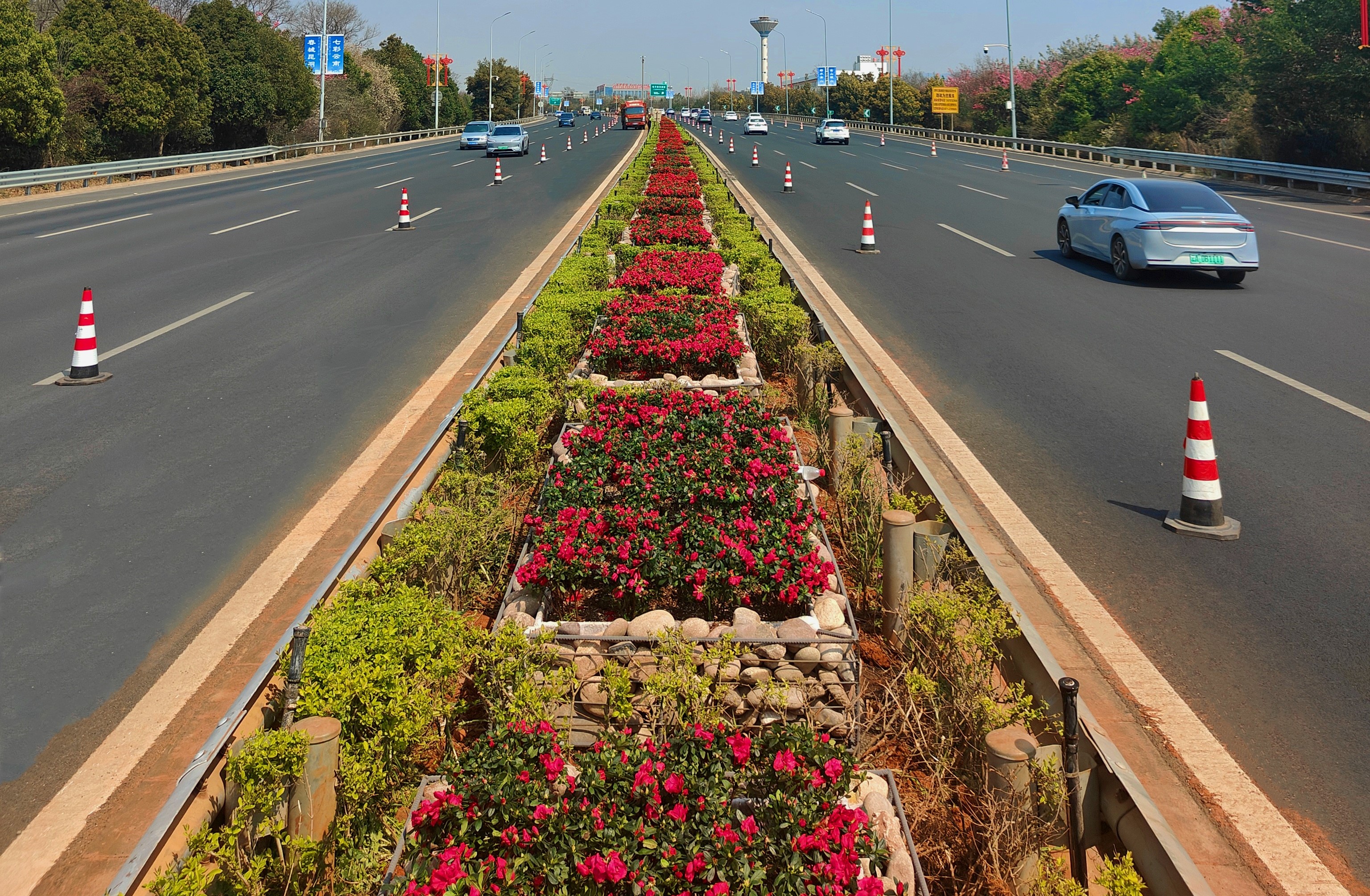 1754271571831354.jpg 1754271571831354.jpg